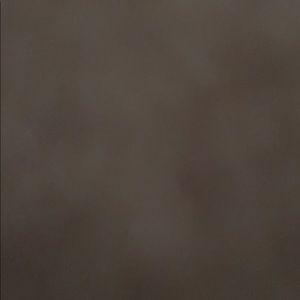 Meet your Posher, Destiny